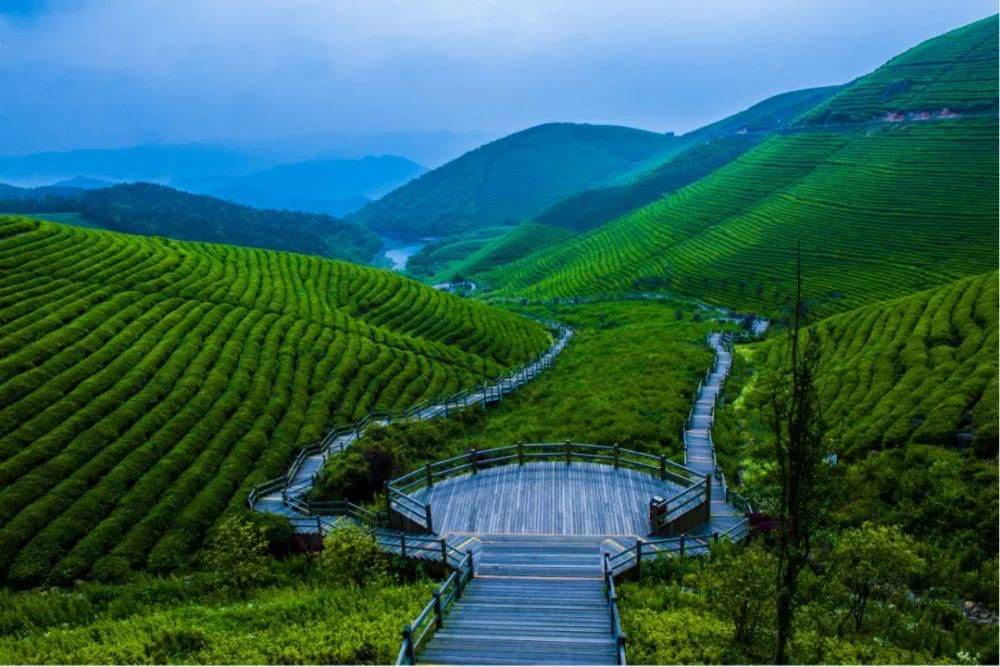 变化|宁波东钱湖福泉山