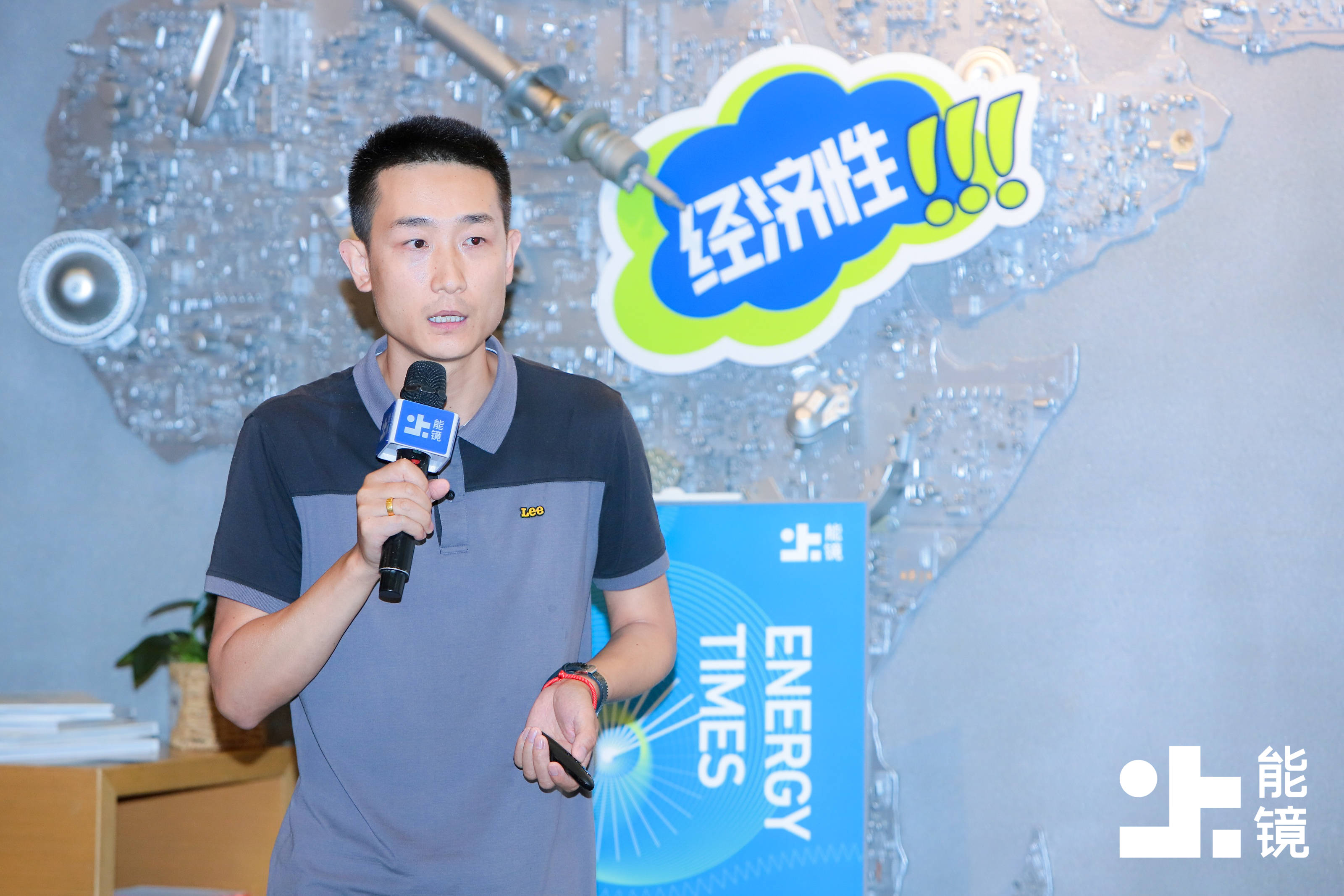 储能产业沙龙:政策/系统/标准 储能储的到底是什么能?_电池