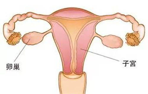 蘇州國醫堂萬太保卵巢囊腫是怎麼回事