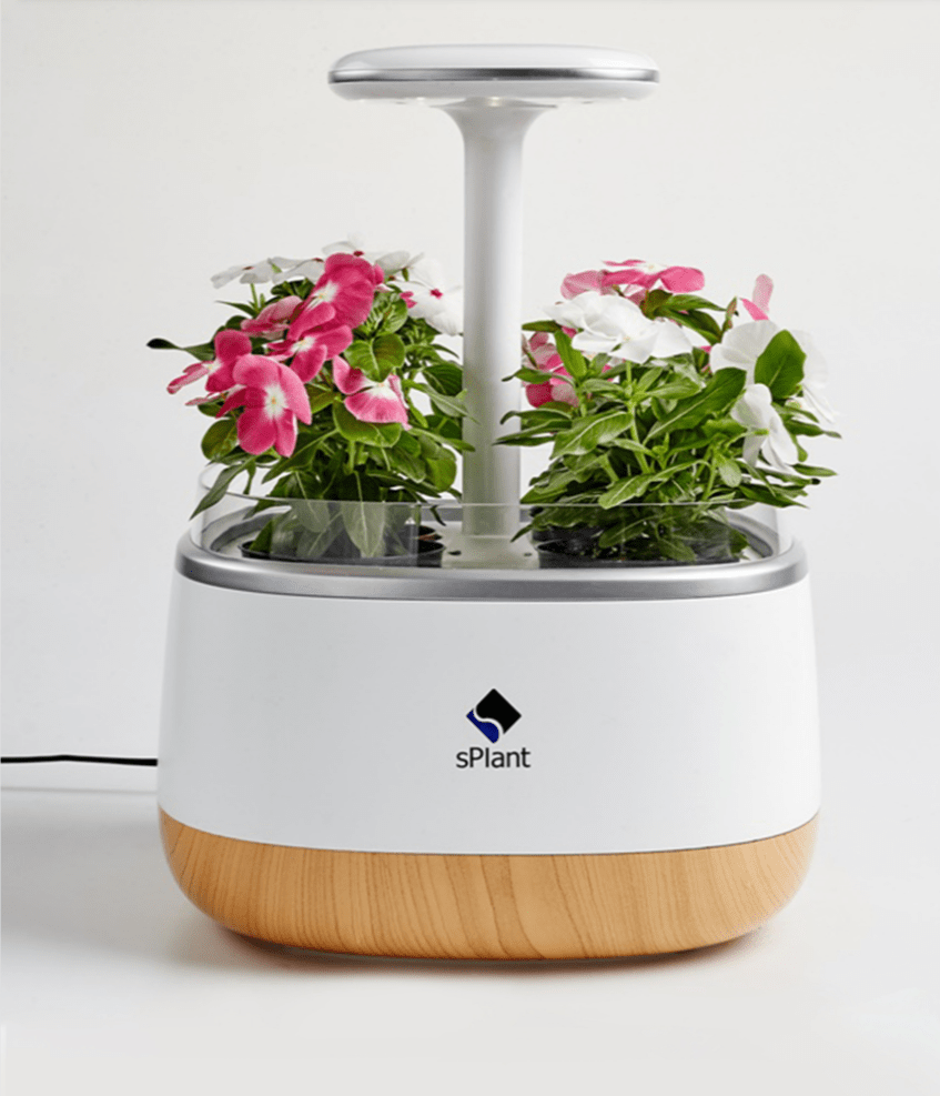 自动浇水的诗意花箱