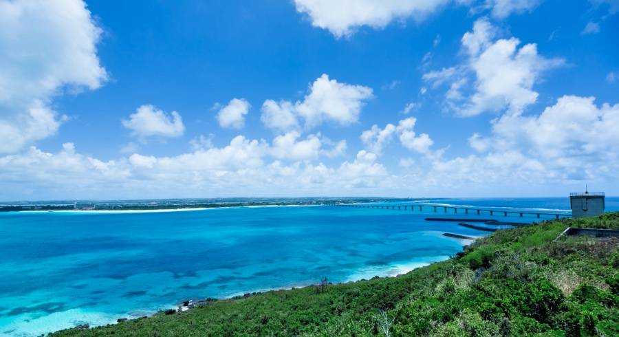 家电业上半年喜忧不均，海尔美的海信方太华帝苏宁乘风破浪-家电圈官网