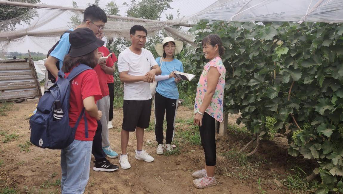 陕西学子三下乡:深入前洼村落,寻访振兴之路