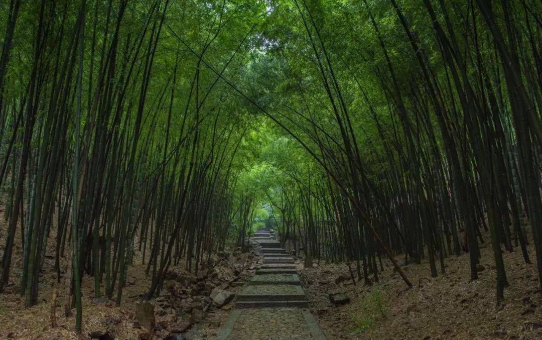 吴中区|穹窿山景区