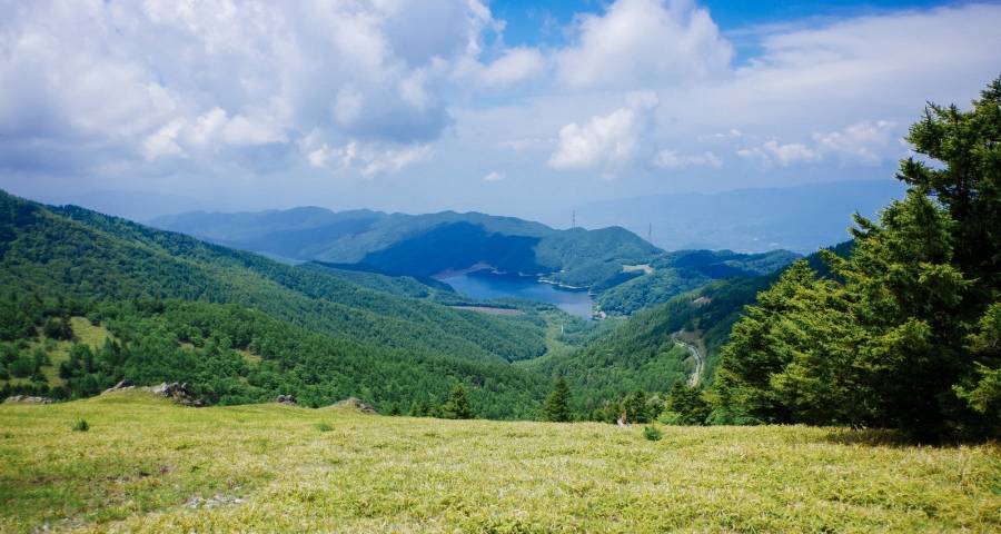 原材料涨价并不是家电市场低迷的根源-家电圈官网