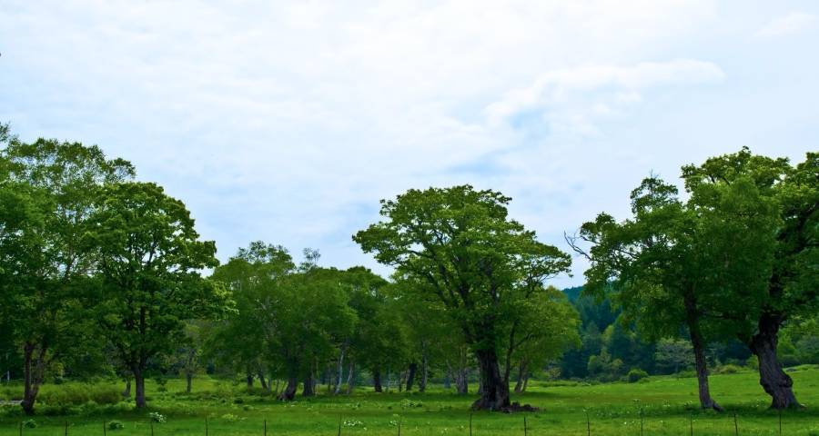 家电企业走出市场寒冬的惟一钥匙出现了！-家电圈官网