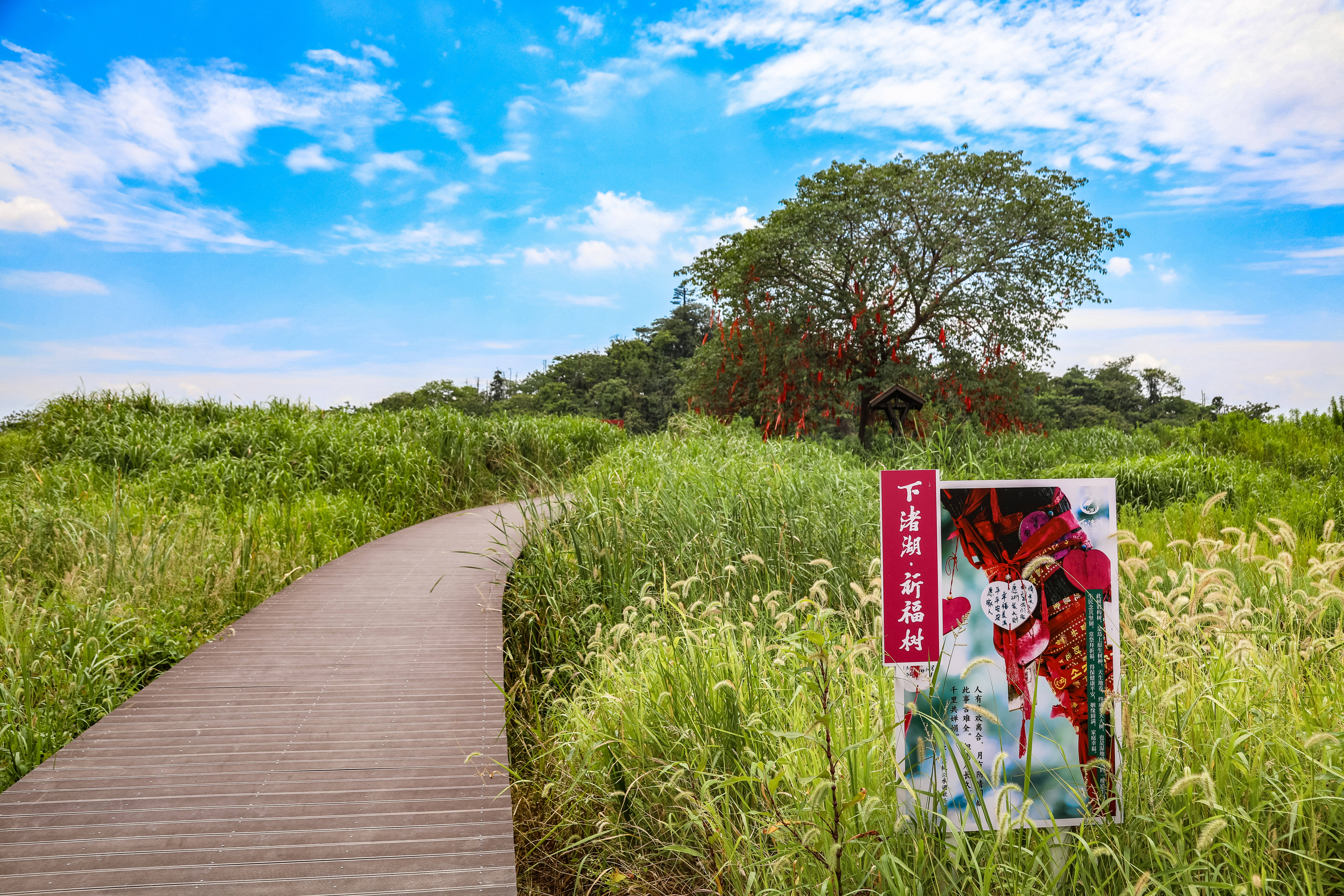 防风|杭州周边好去处 | 德清下渚湖，不仅有宫崎骏动的夏天，还有冬日里的冰雪世界