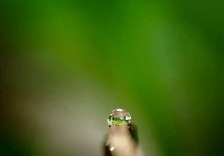 摄影|拍荷花的拍摄技法