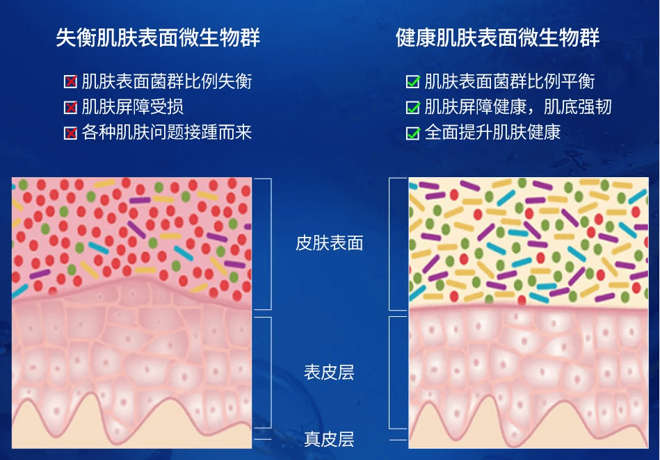 全网|TJR寡肽冻干粉为何这么火？带你了解火遍全网的冻干粉