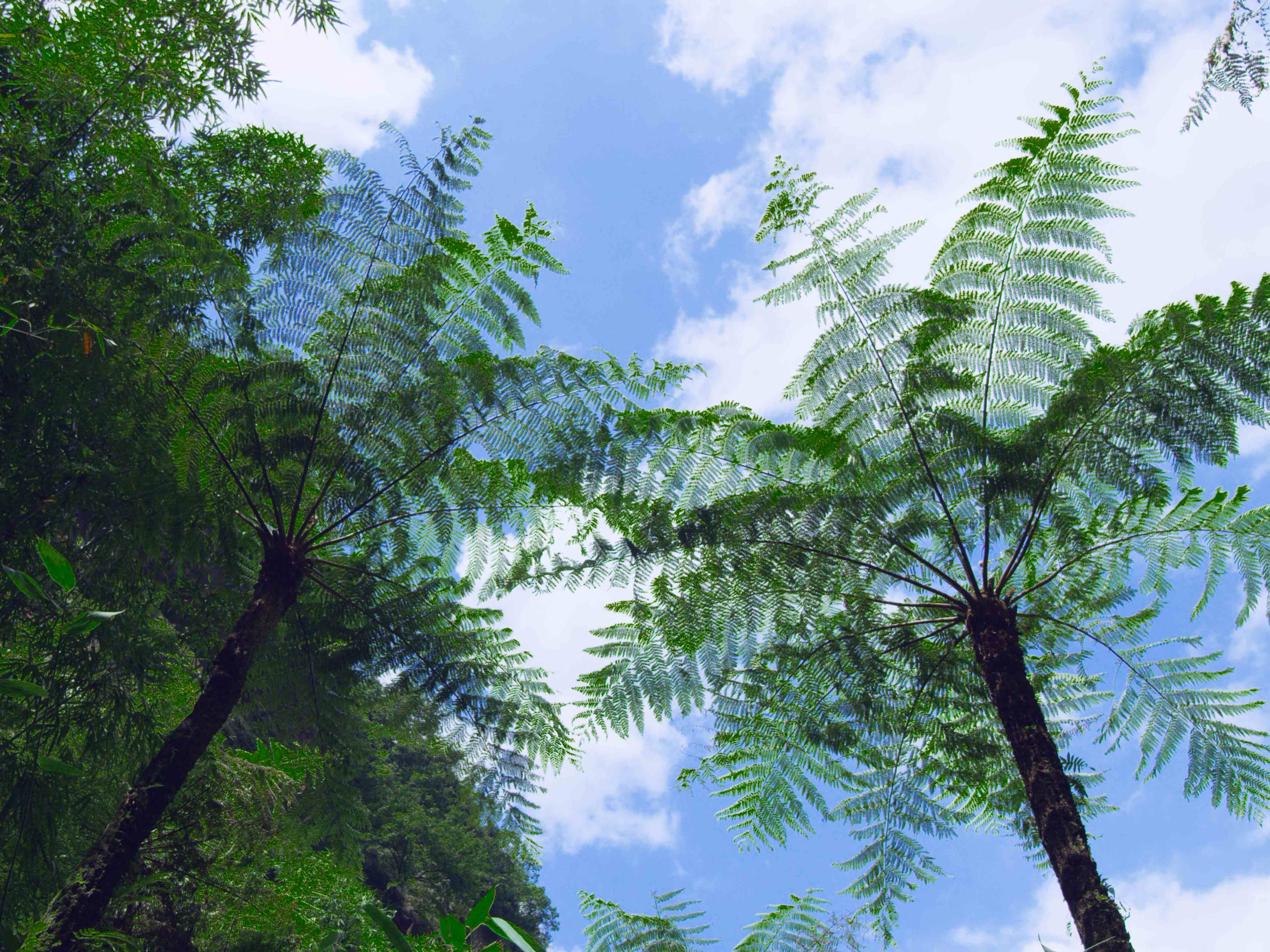 下半年适合带孩子旅行的小众旅行地大自然是孩子游乐的天堂
