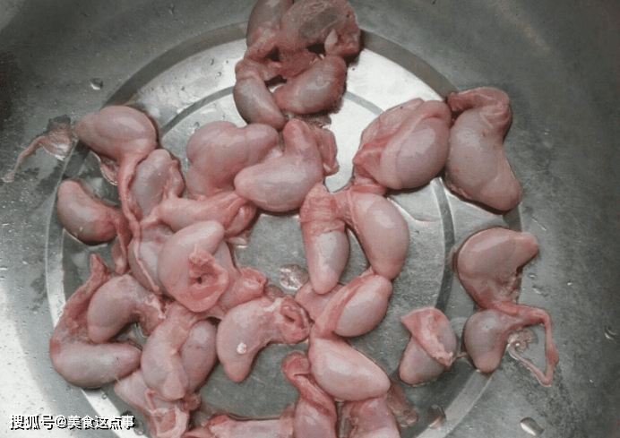 猪的肾上腺实物图片图片