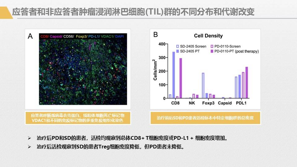 应用|胰腺癌综合治疗大讲堂-免疫治疗专讲主题活动回顾1