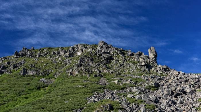 彩电市场为何跌不停？商家称“电视机早就不是家庭的刚需家电”-家电圈官网
