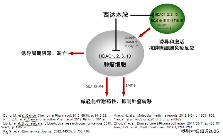 以及首次发现亚型选择性组蛋白去乙酰化酶抑制剂西达本胺