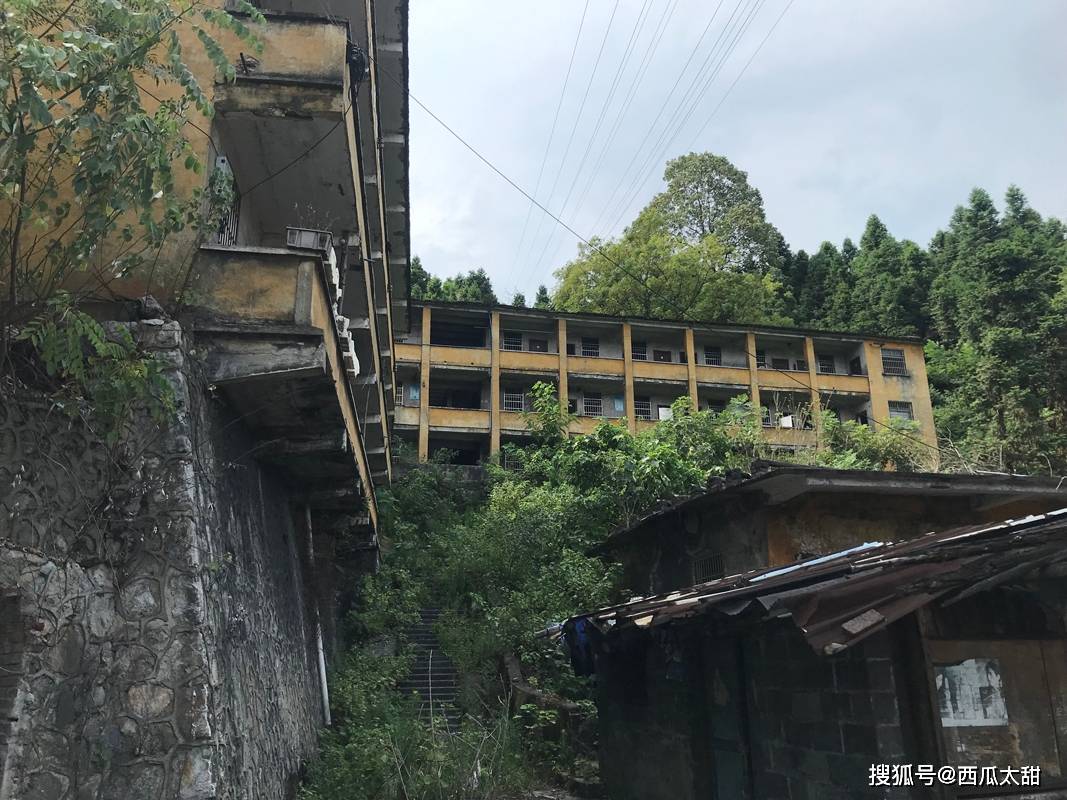 文章配图-18