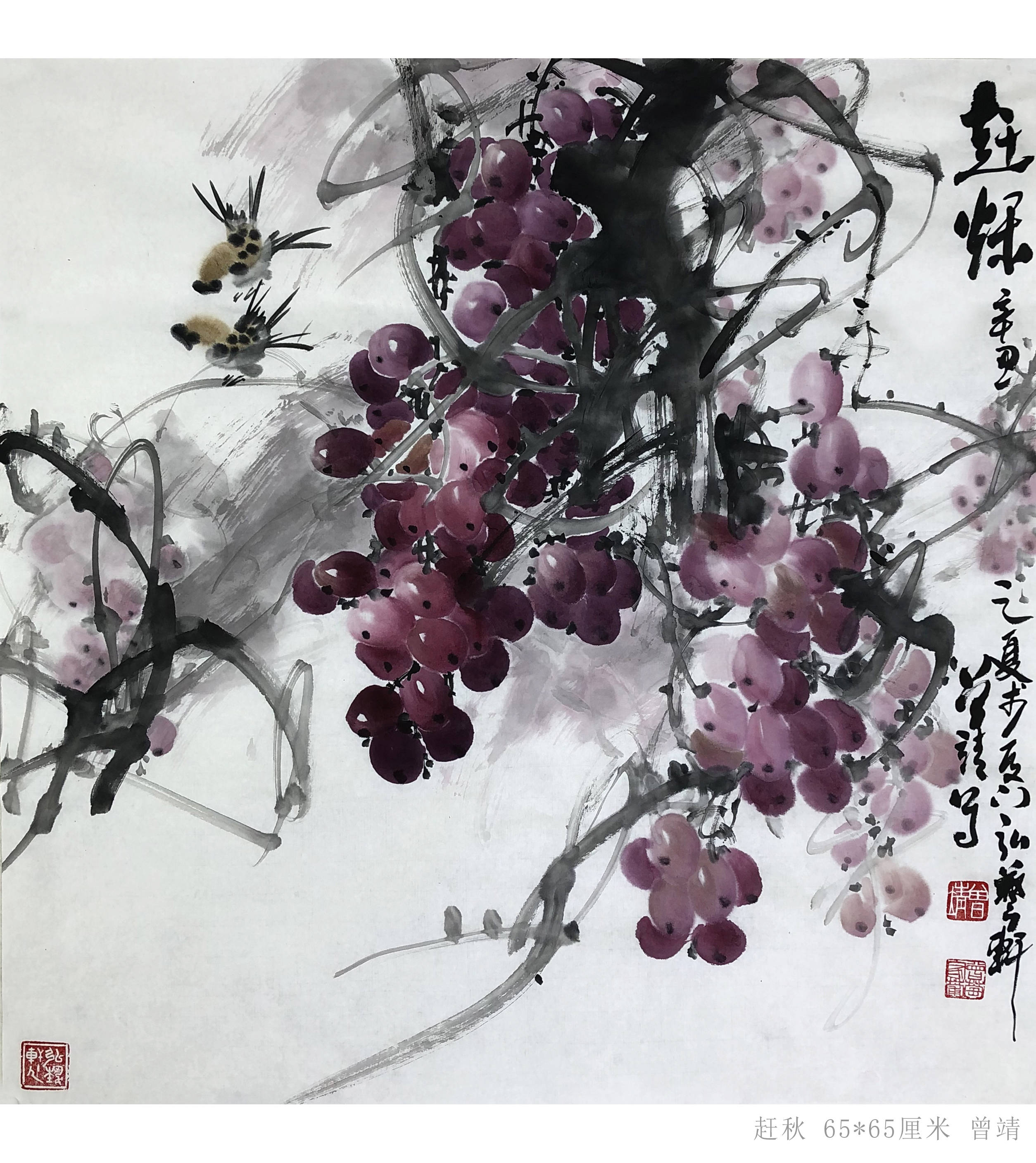 曾靖国画葡萄艺术大写意花鸟画教程讲解