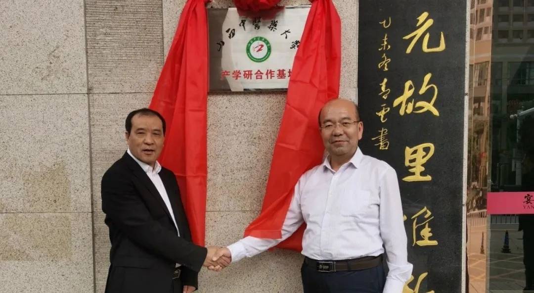 山西|阳府井枣芽红茶的功效研究