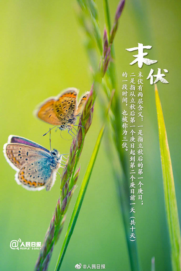 【#今天末伏来了#】