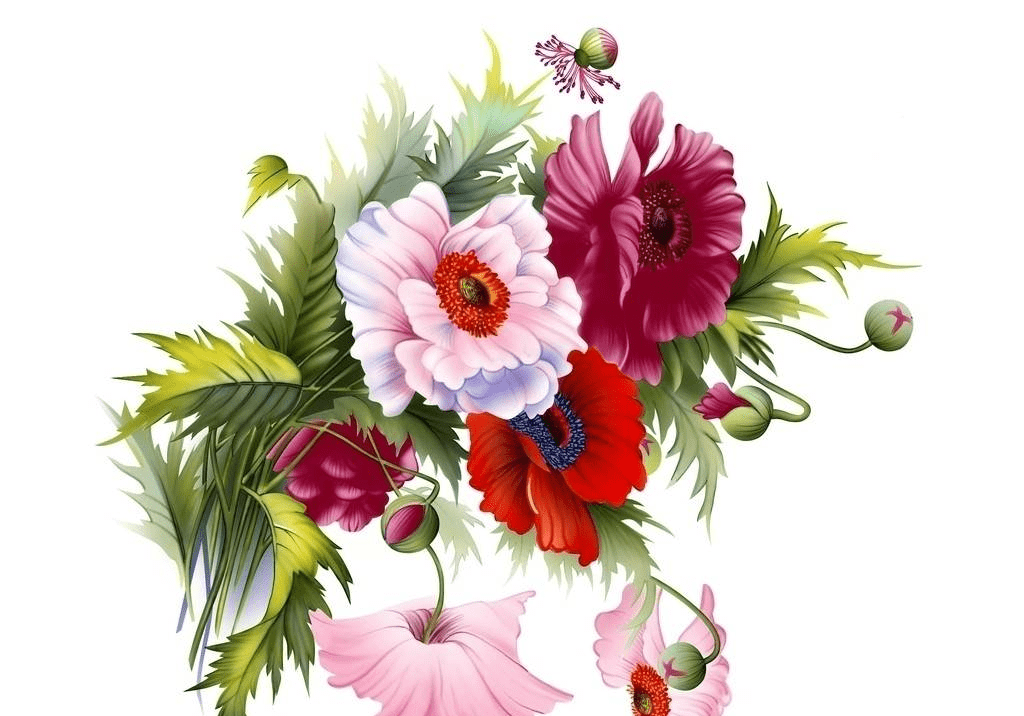 8月15號後 喜氣洋洋 萬事亨通 事業愛情蒸蒸日上的4大星座