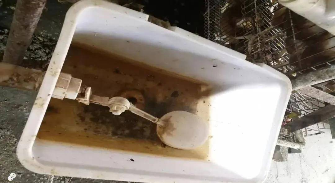 养殖业|霉菌毒素为什么是隐性杀手？看看它的这五大特点就知道