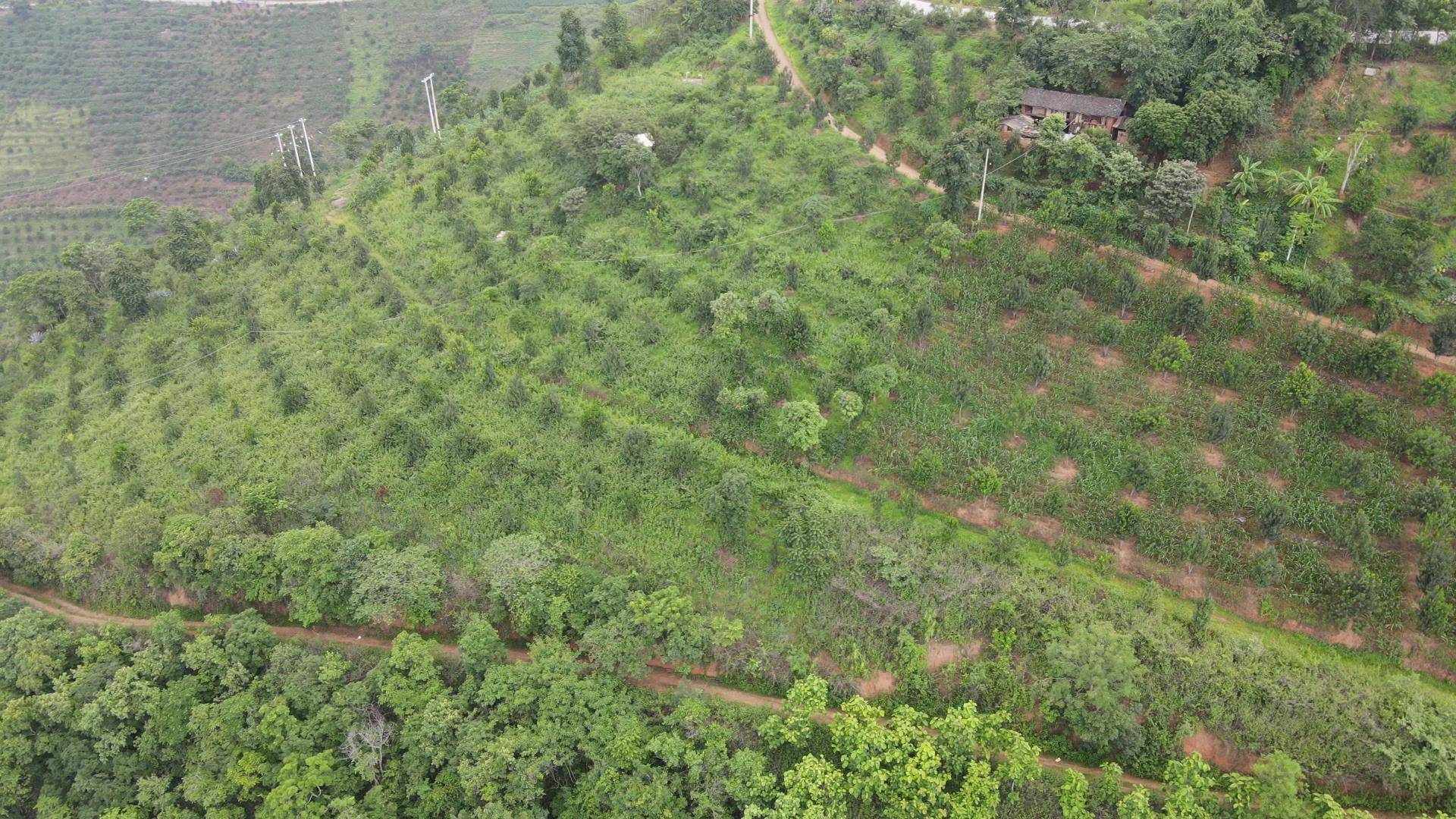传承杨善洲精神施甸旧城乡大田坝段学平让山绿起来让村民富起来