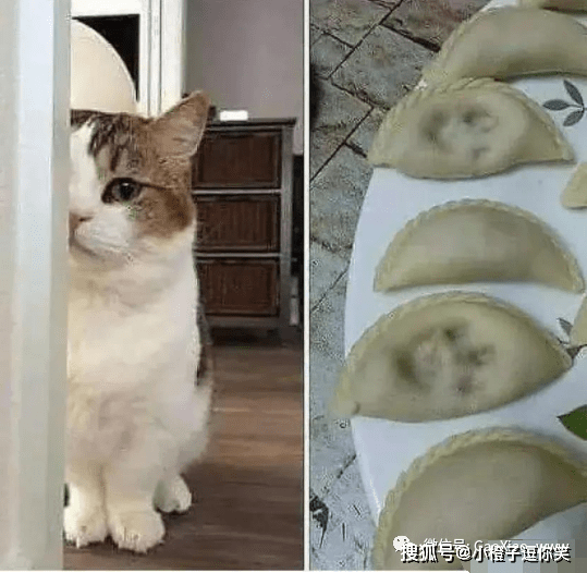 陳海：當初導演說，大部分是床戲，我劇本都沒看就接了！ 搞笑整蠱 第2张