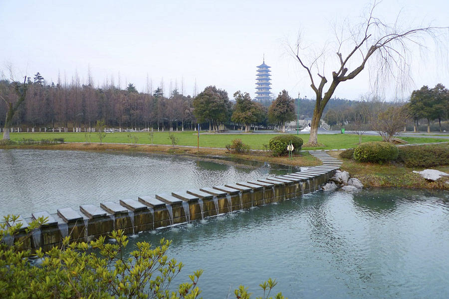 宜兴|龙背山森林公园