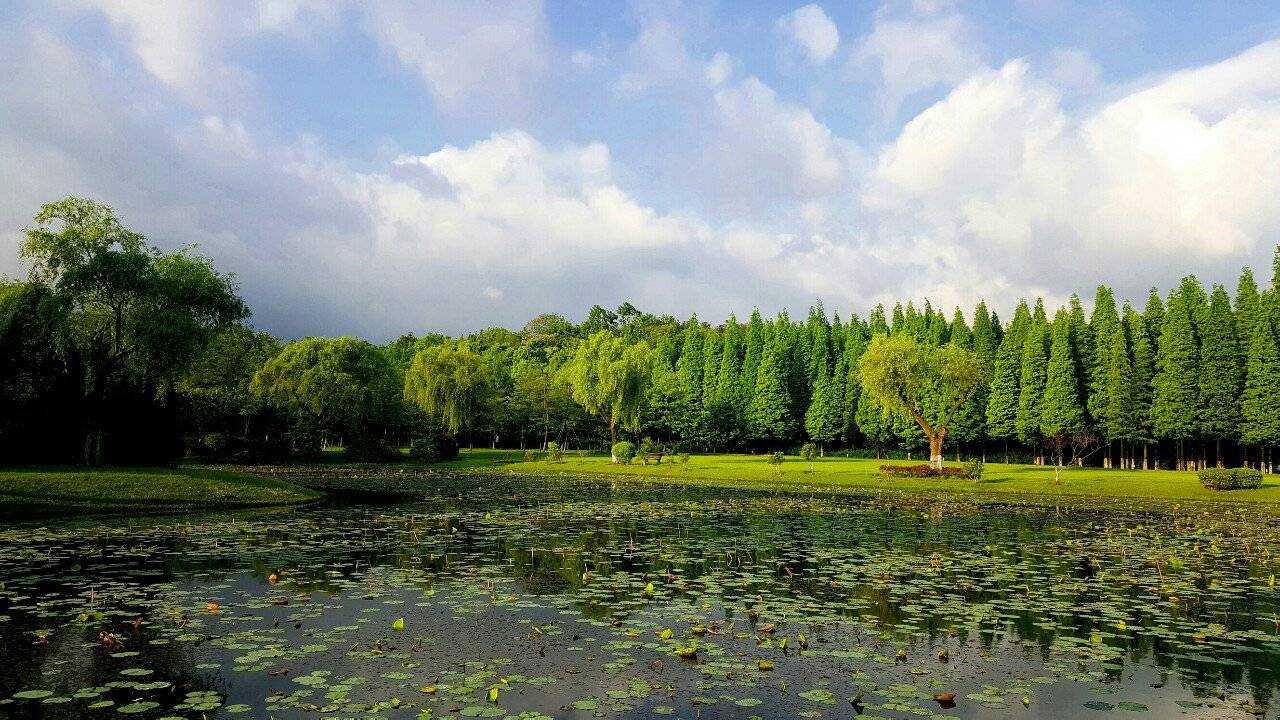 宜兴|龙背山森林公园