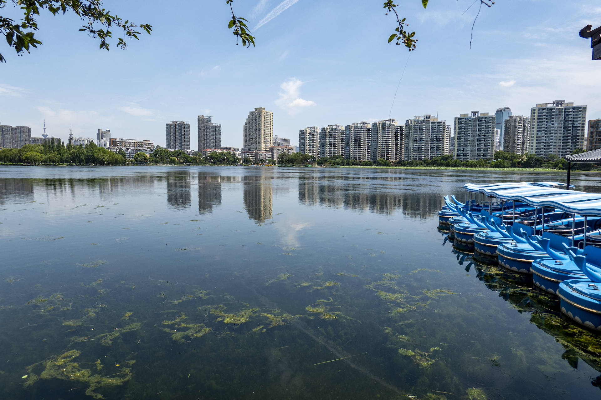 名胜|南京的“金陵第一名胜”不是夫子庙，不是中华门，而是这片徐达后裔的名园