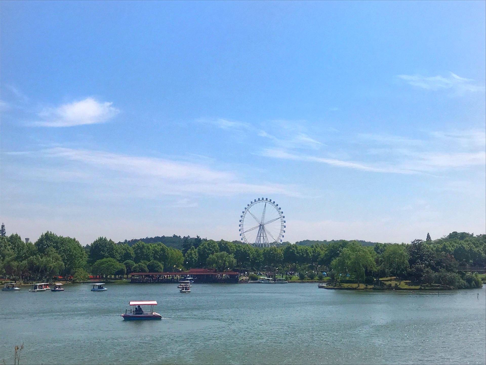 宜兴|龙背山森林公园