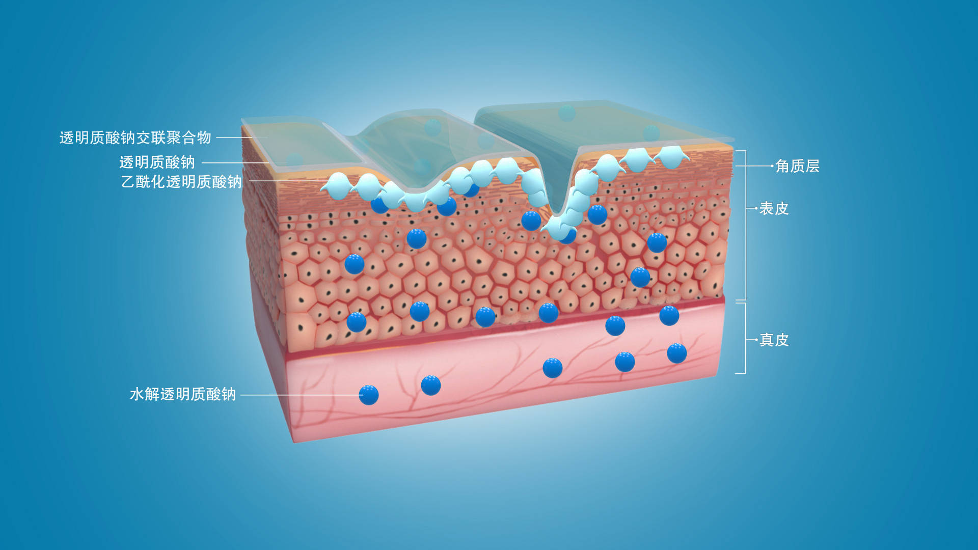 口服玻尿酸有效吗?