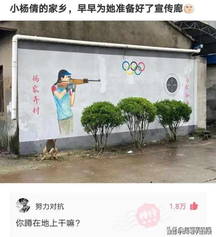 爆笑第7期：那些意想不到的大神評論。 搞笑整蠱 第9张