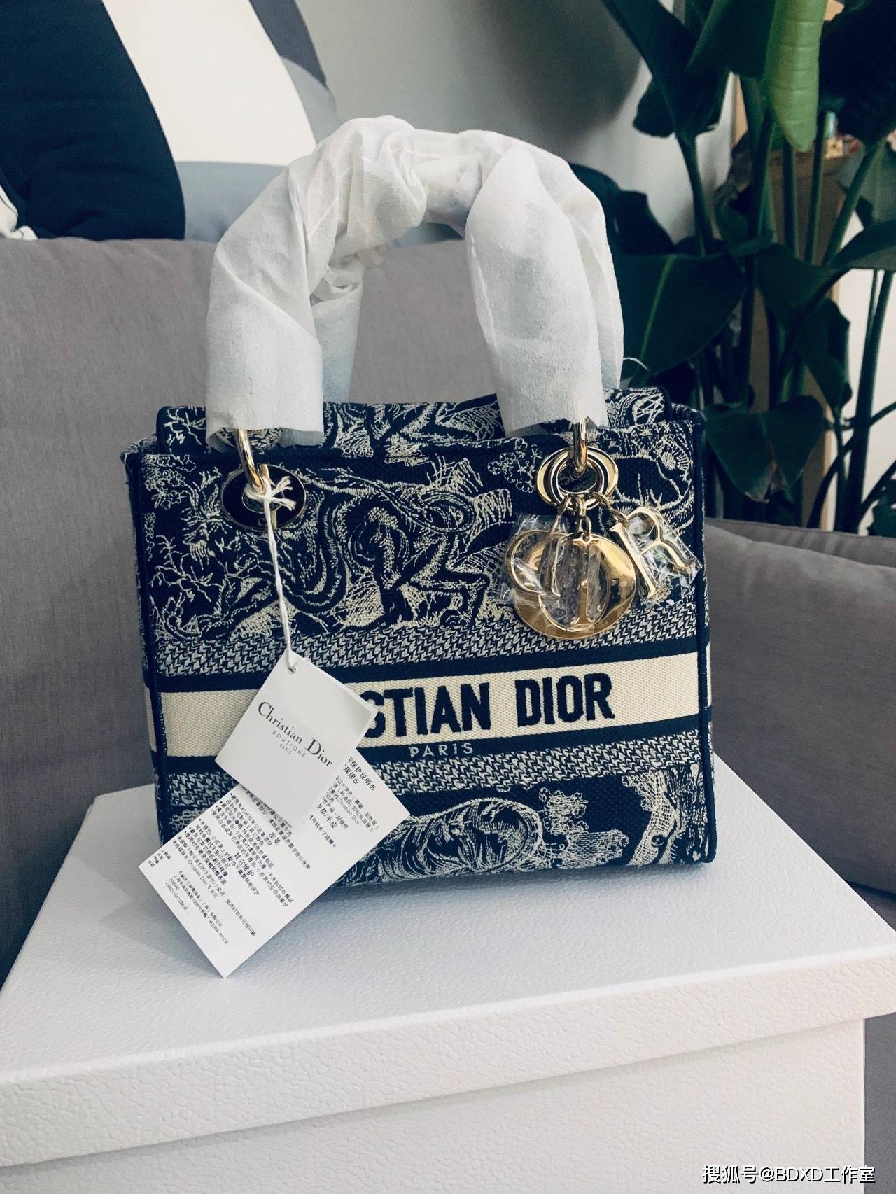 刺绣|Dior2021新款Lady D-Lite印花刺绣包