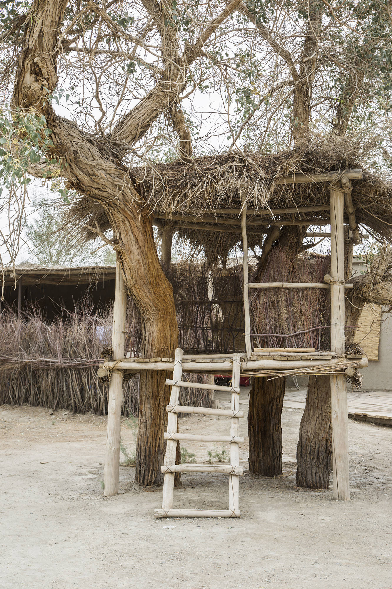 神秘的罗布人村寨,最后的罗布人所居住的世外桃源