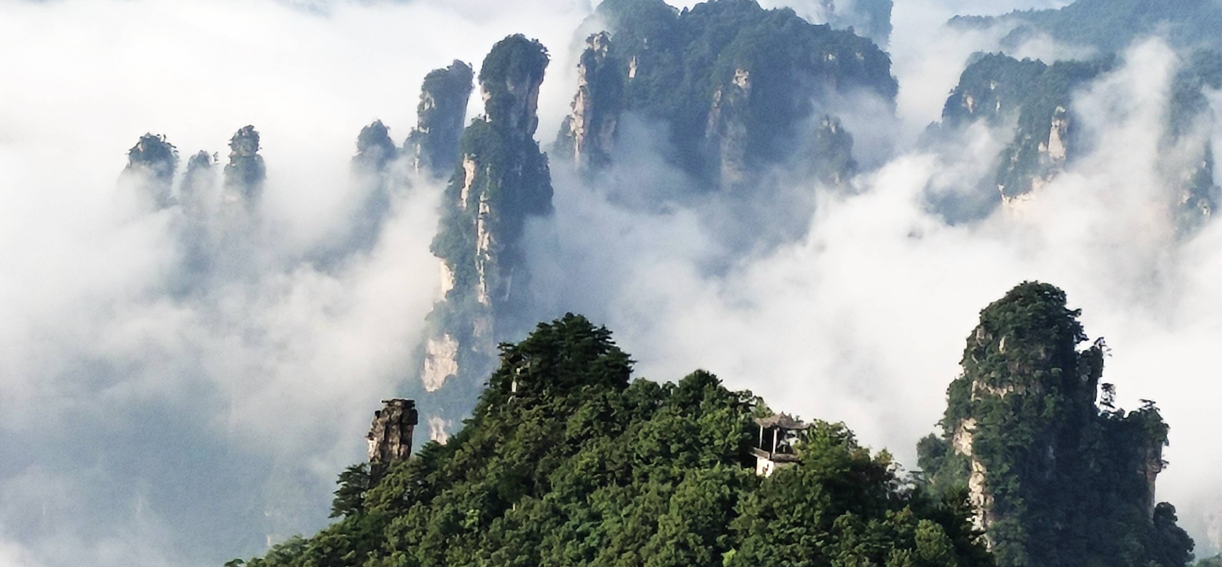 張家界武陵源:初秋雲海靜等