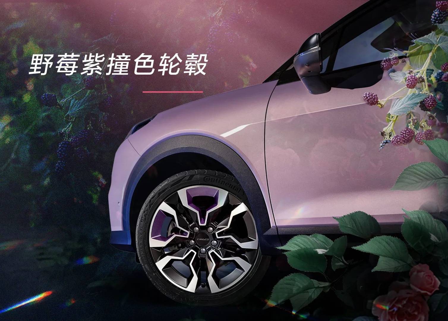 蔷薇|心嗅蔷薇 又甜又野