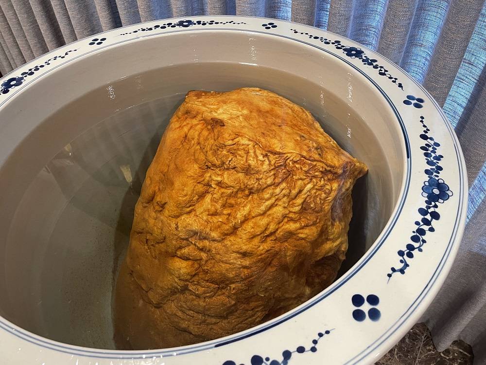 太岁水是什么可以自己购买太岁泡水吗