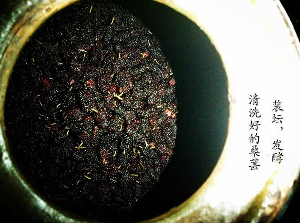 作用|桑葚果酒好喝，除了好喝还有其他作用，桑葚酒对女性的功效三点很重要