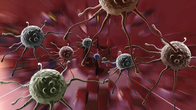 作用|桑葚酒的功效作用有哪些，10大要点，看看你身体都有哪些？