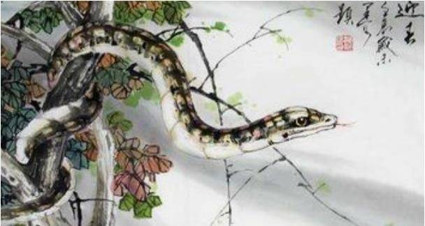 蛇是有记忆的 7599b2381ff4434ab03ee6a8c71b3301.jpeg