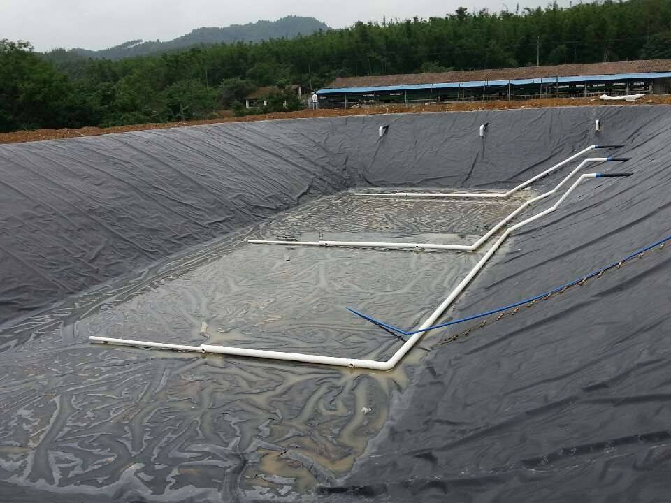 养猪场粪污处理需要哪些步骤黑膜沼气池具体有哪些作用