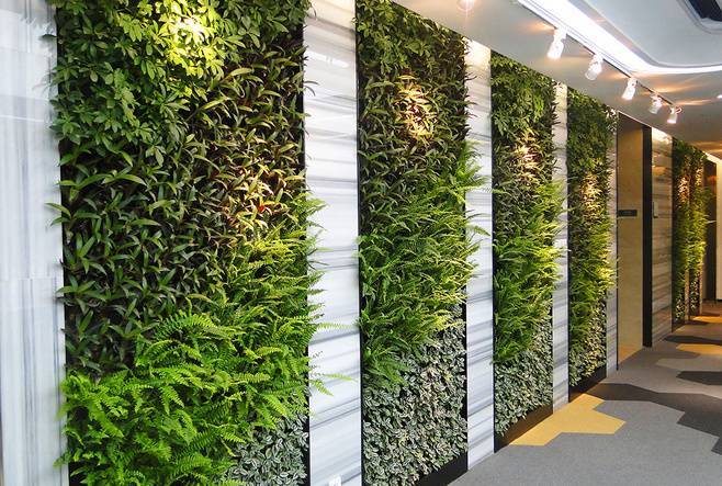 立体植物墙在阳台花园的应用_墙体