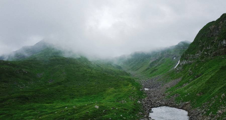 家电半年报业绩分化，海尔美的格力海信格兰仕松下TCL继续干-家电圈官网