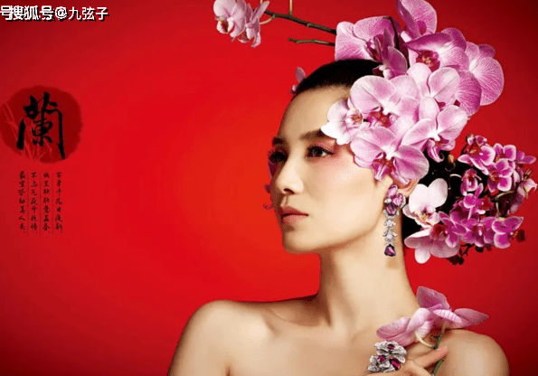 父母|插足名导婚姻，以“洗头妹”一跃封后，戏红人不红小宋佳