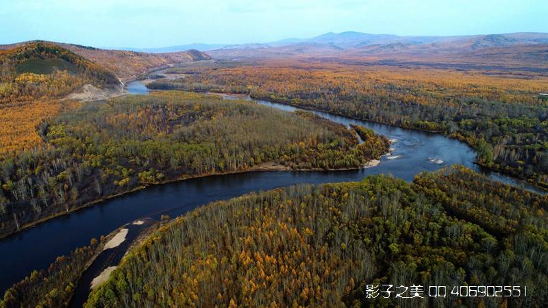 驯鹿|根河湿地 驯鹿人家 大兴安岭秋色美