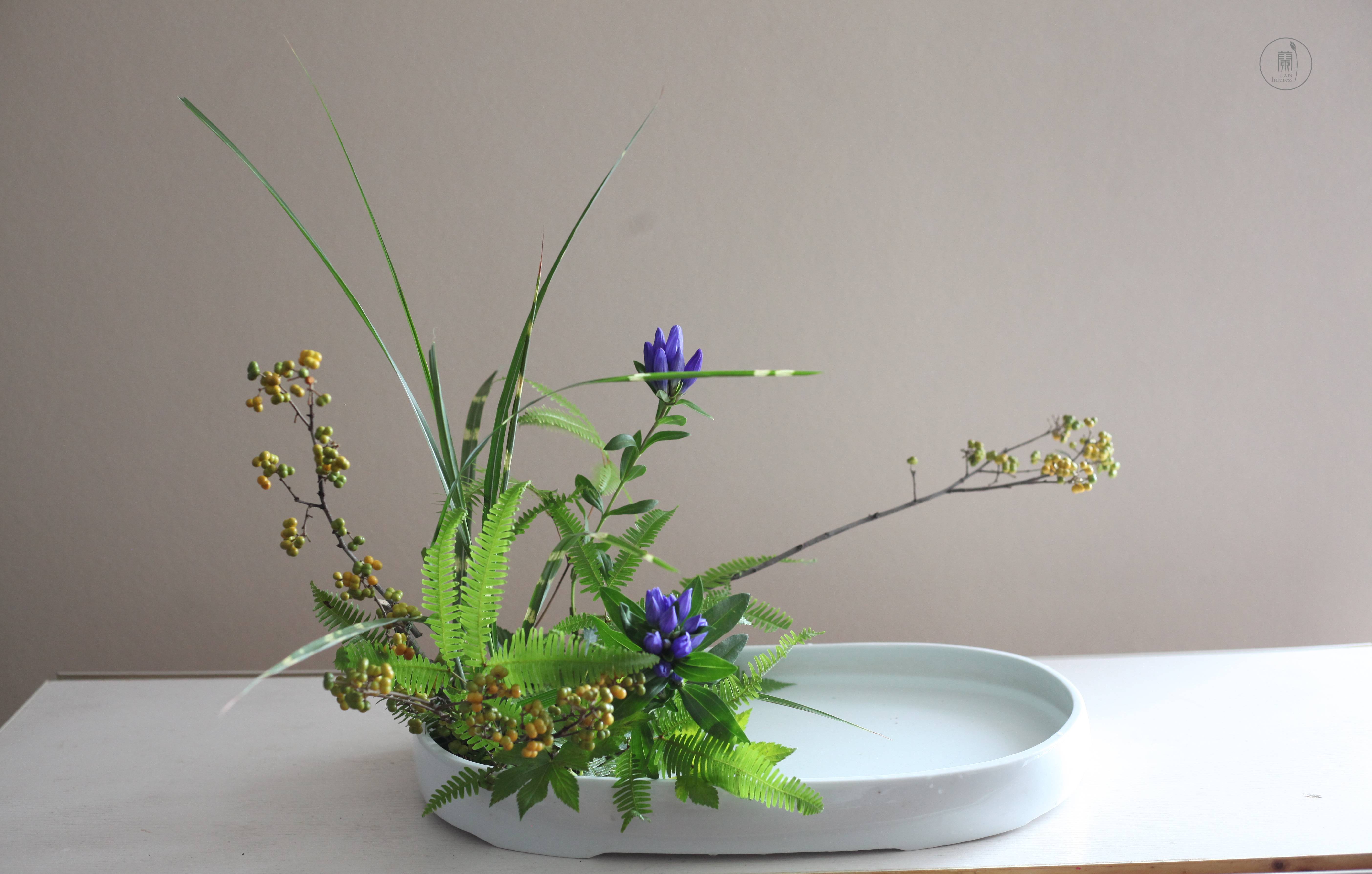 兰印象小原流花道|白露插花