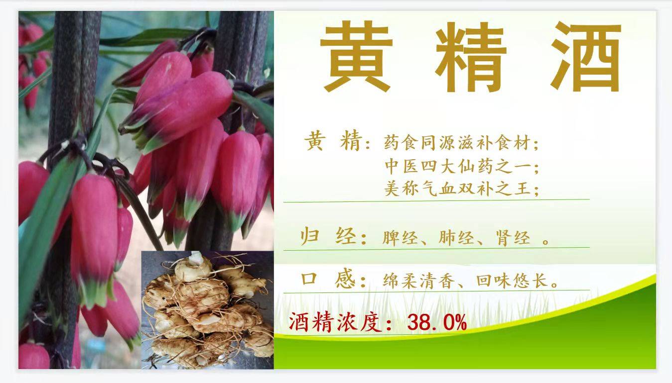 文山|精坤黄精酒与中秋节的故事