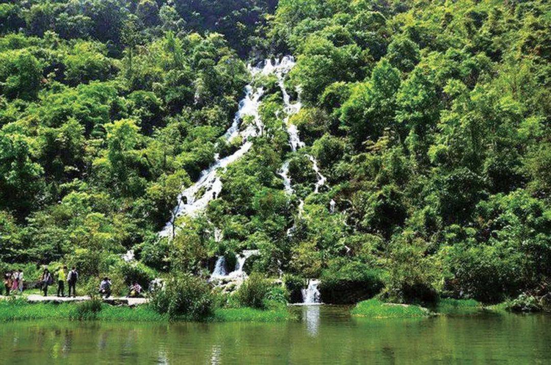 荔波茂兰喀斯特森林美景