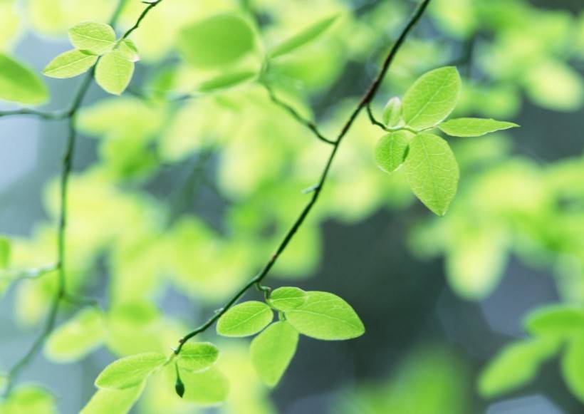 海苔|12星座在课间喜欢吃什么零食？双鱼座吃巧克力，射手座无辣不欢