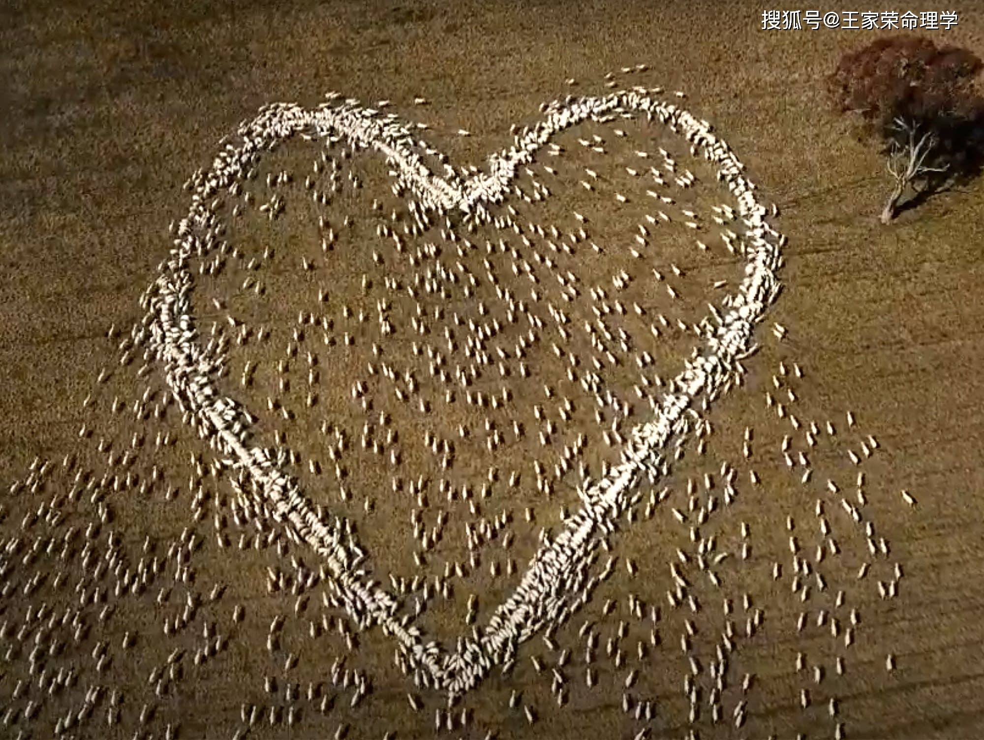 十二地支详解日支丑土