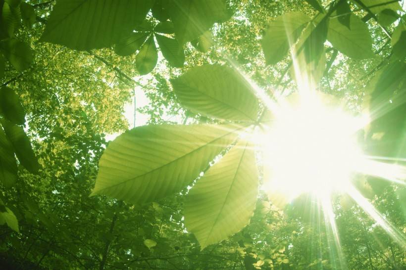 怎么样才可以做到大智若愚 939f3ce6b7f3400982d51e7e46315c09.jpeg